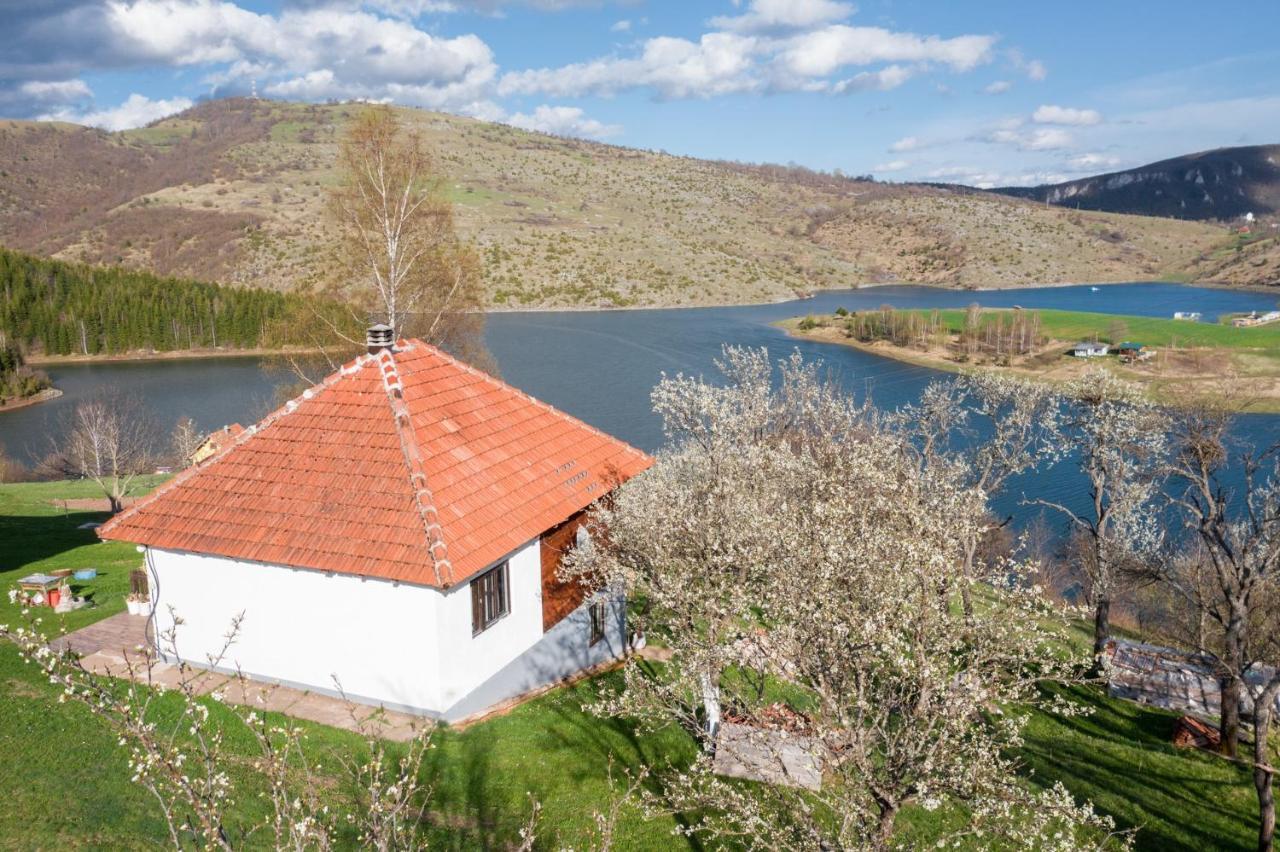 Uvac Griffon Villa Nova Varoš Kültér fotó