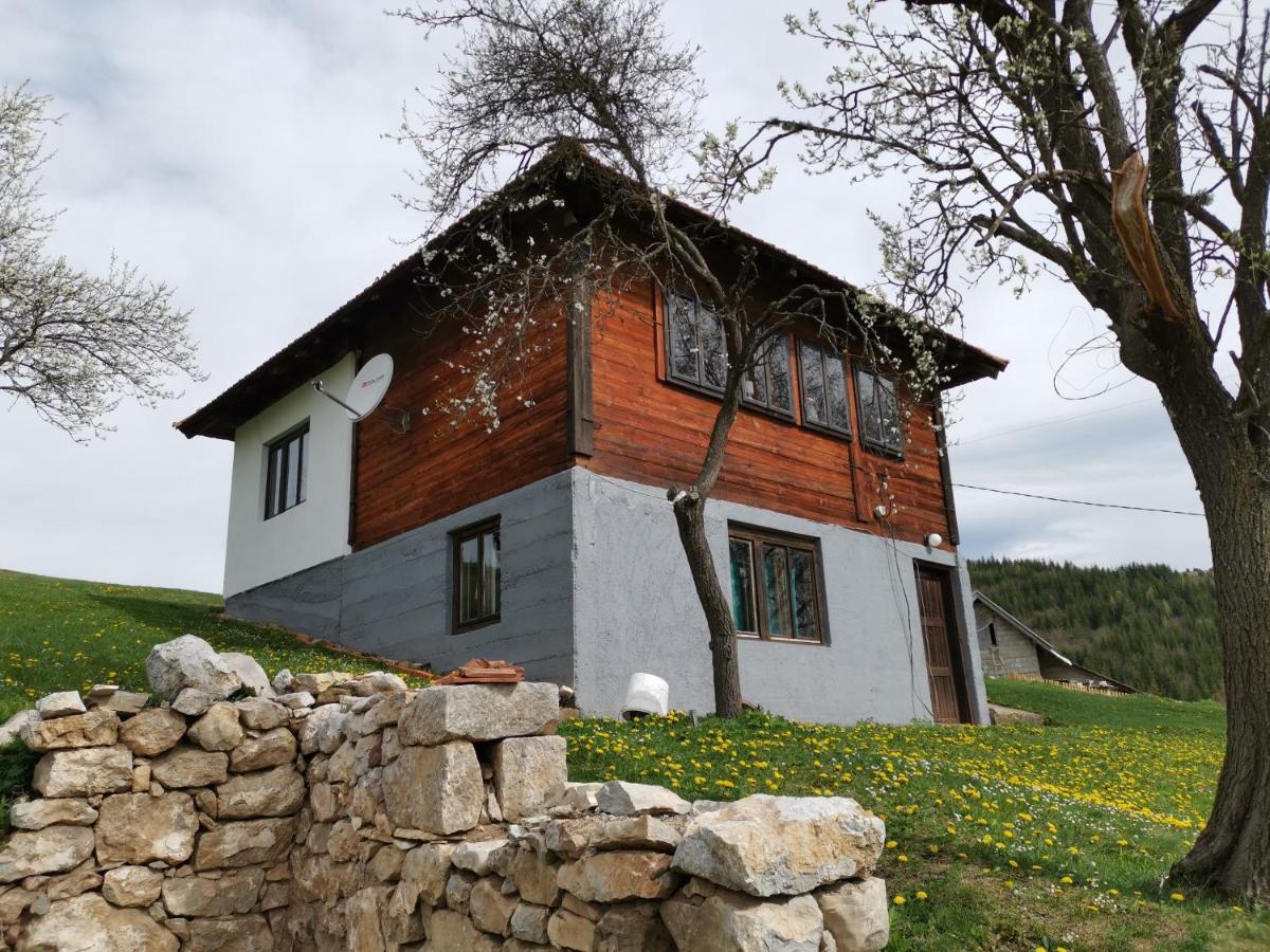 Uvac Griffon Villa Nova Varoš Kültér fotó