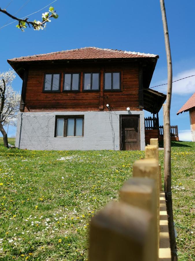 Uvac Griffon Villa Nova Varoš Kültér fotó